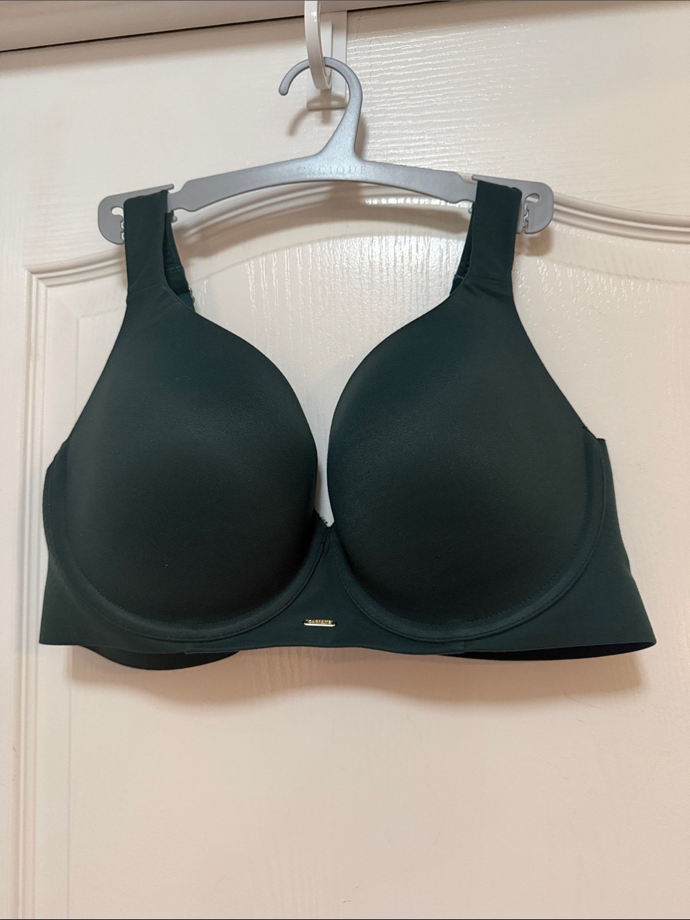 Lane Bryant Cacique Modern luxe Balconette bra size 38DD green color